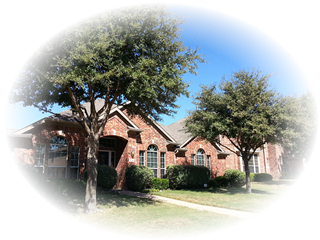 Tree Service Company in Frisco, TX